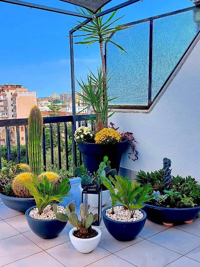 Apartmán Gebel Grin Palermo